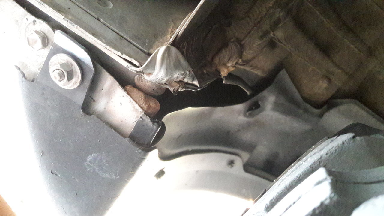 20180418_113204.jpg
