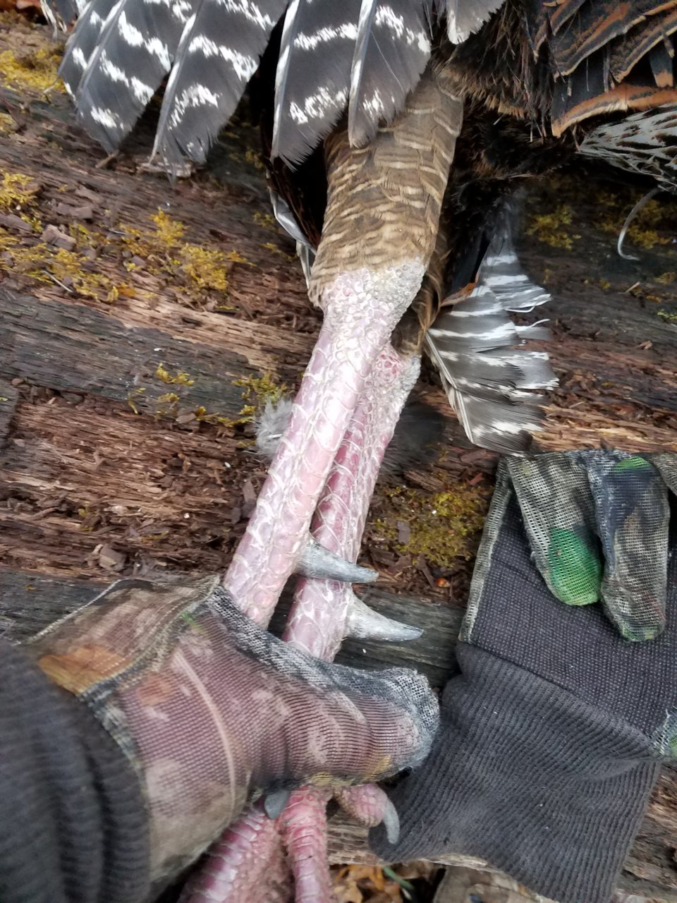 20180419_074807.jpg
