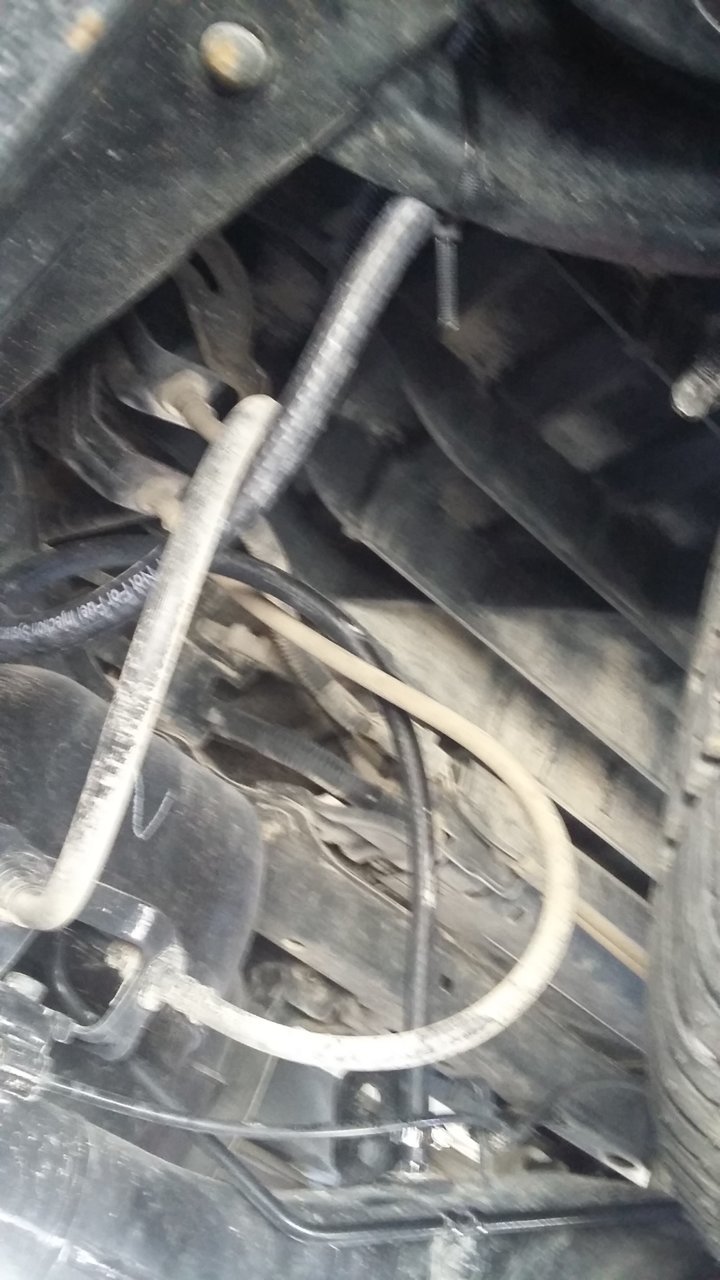 20180419_123724.jpg