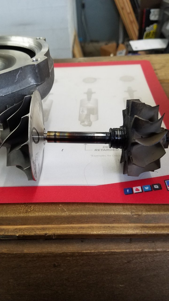 20180419_165829.jpg