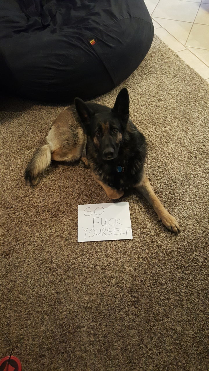 20180419_171339.jpg