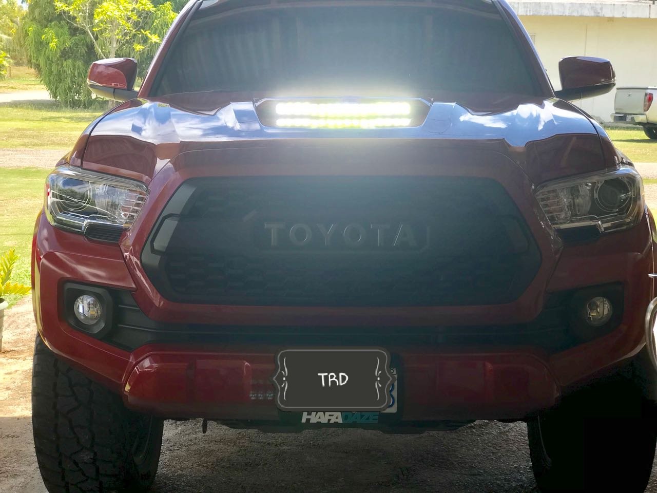 20180420_055839.jpg