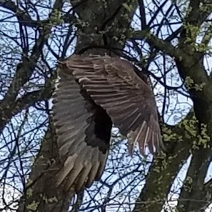 20180420_140839.jpg