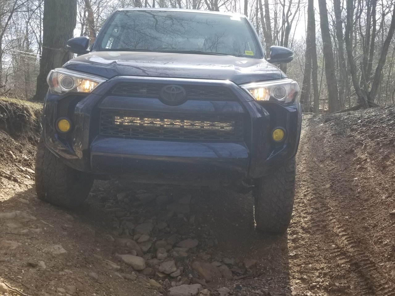 20180421_102452.jpg