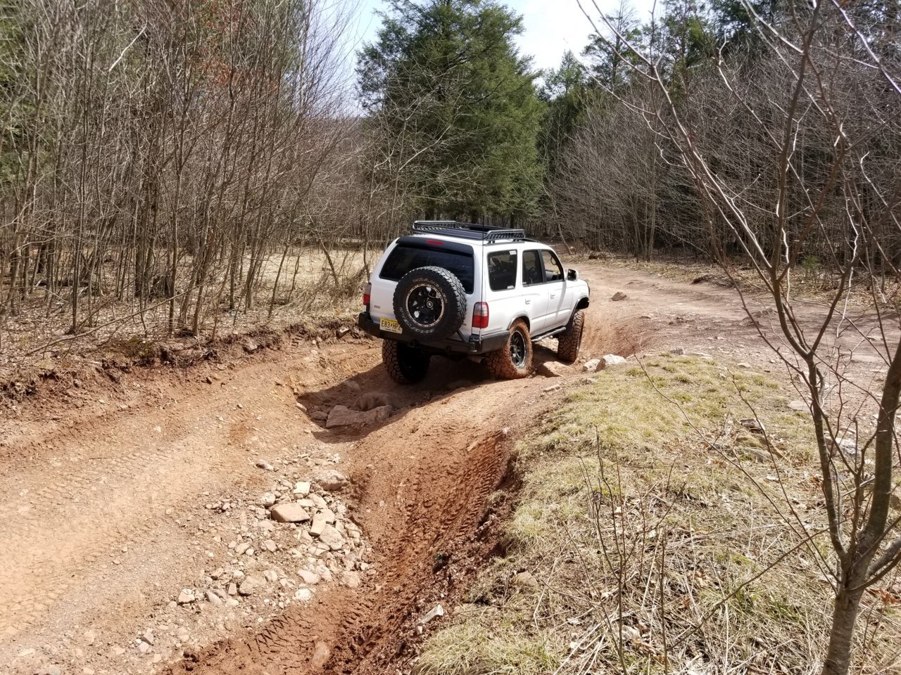 20180421_130252.jpg