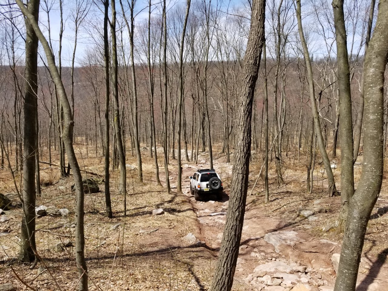 20180421_135655.jpg