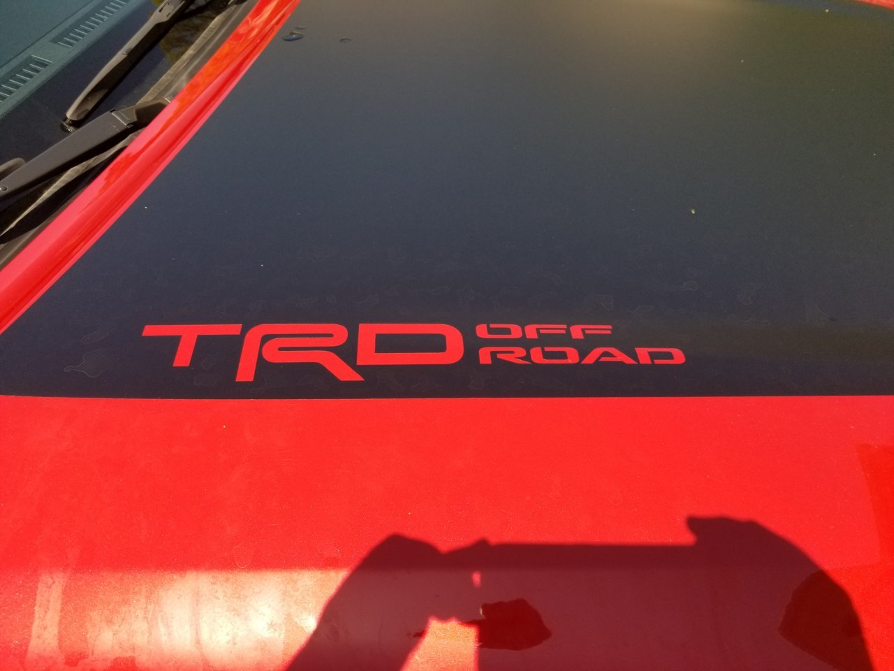 20180421_141042.jpg