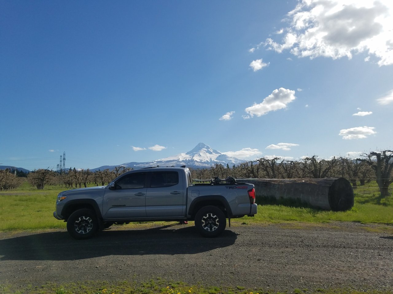 20180421_164917.jpg