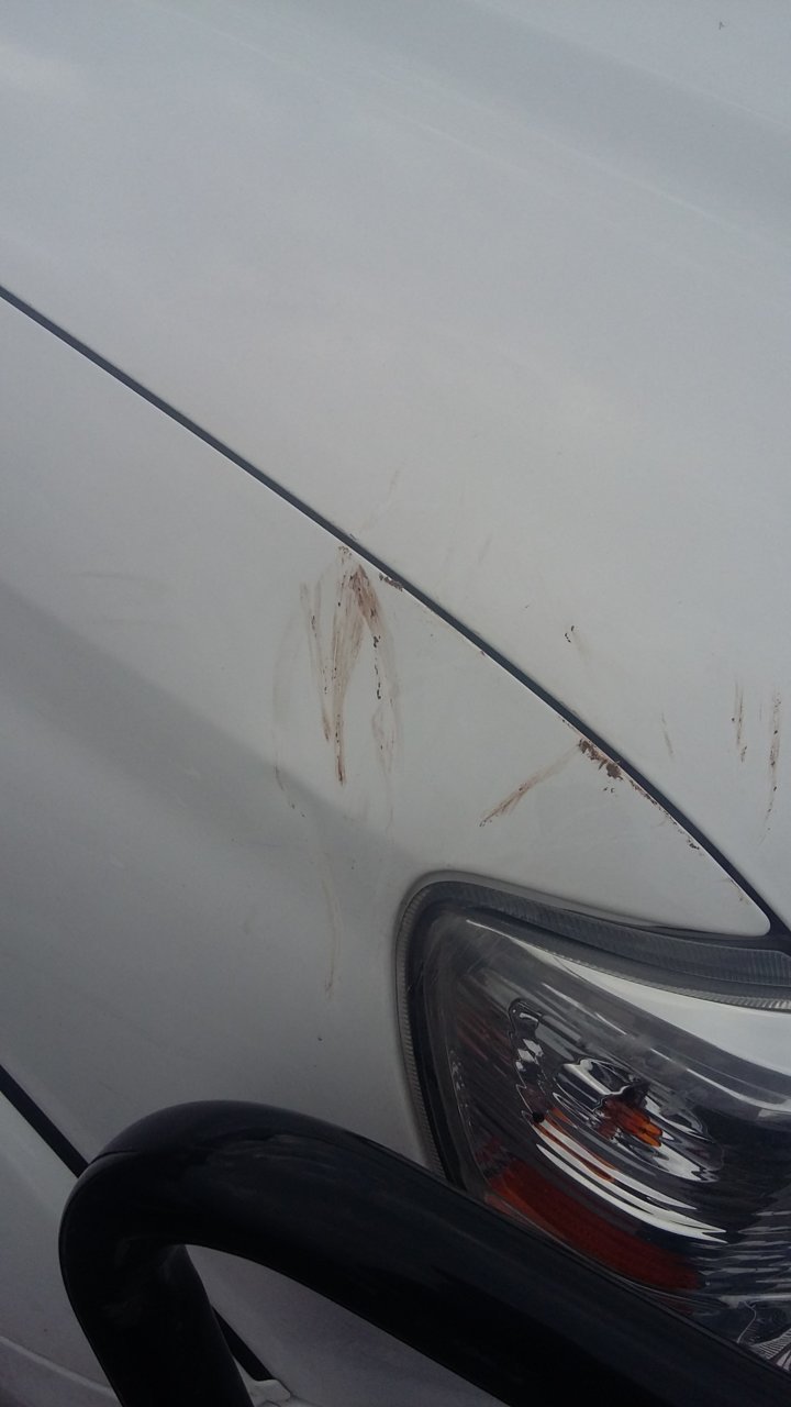 20180421_172847.jpg