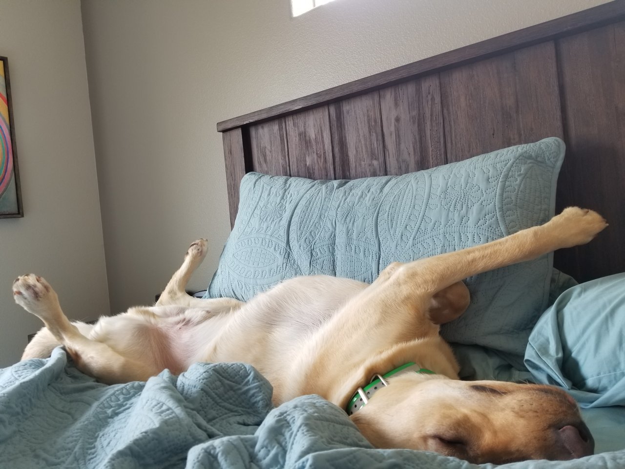 20180422_101616.jpg
