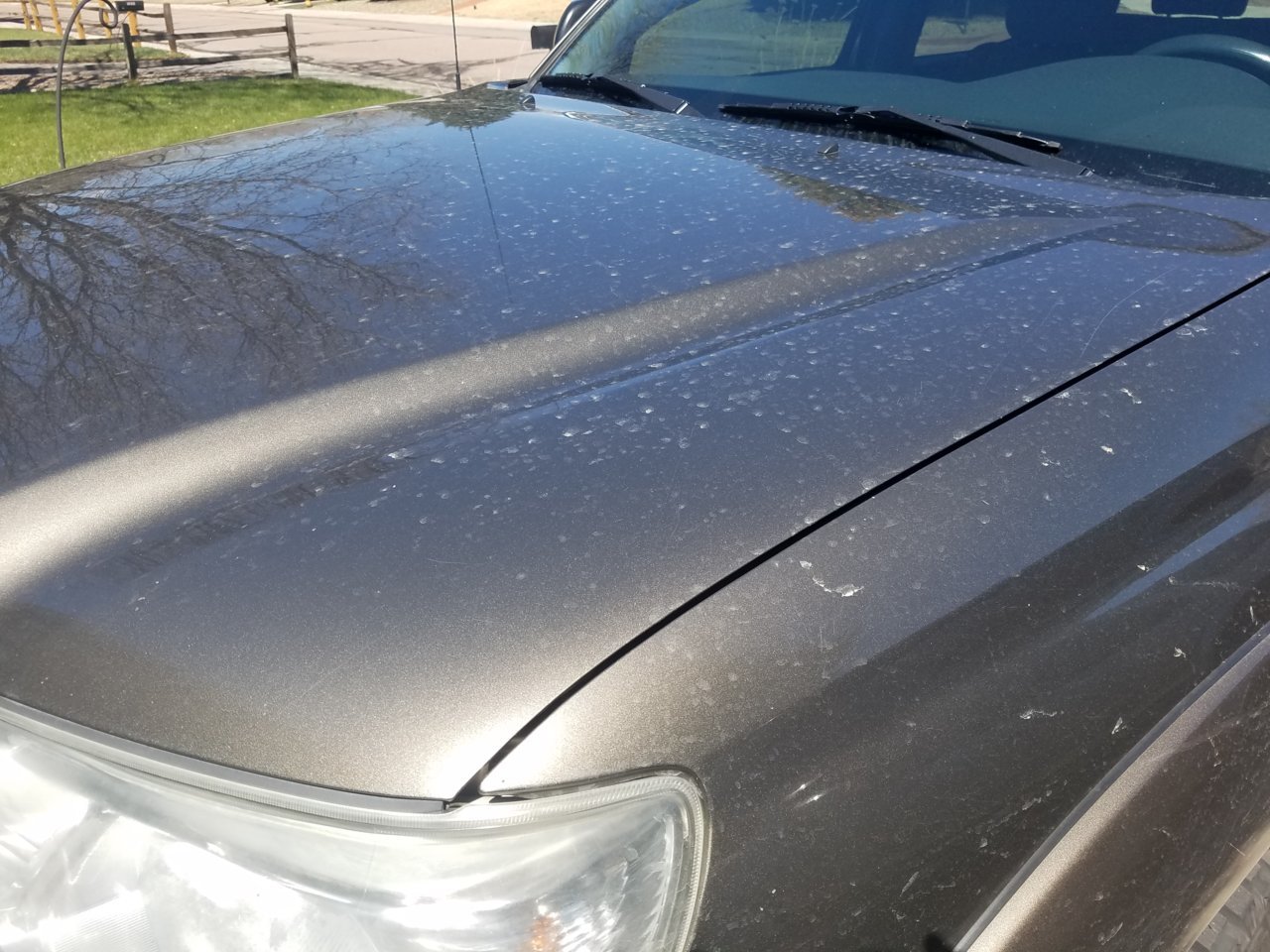 20180422_112957.jpg