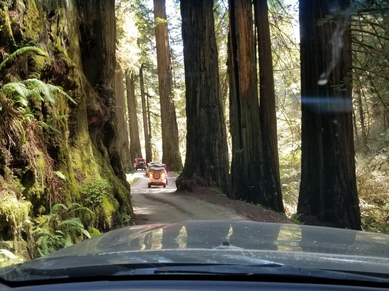 20180422_124311.jpg