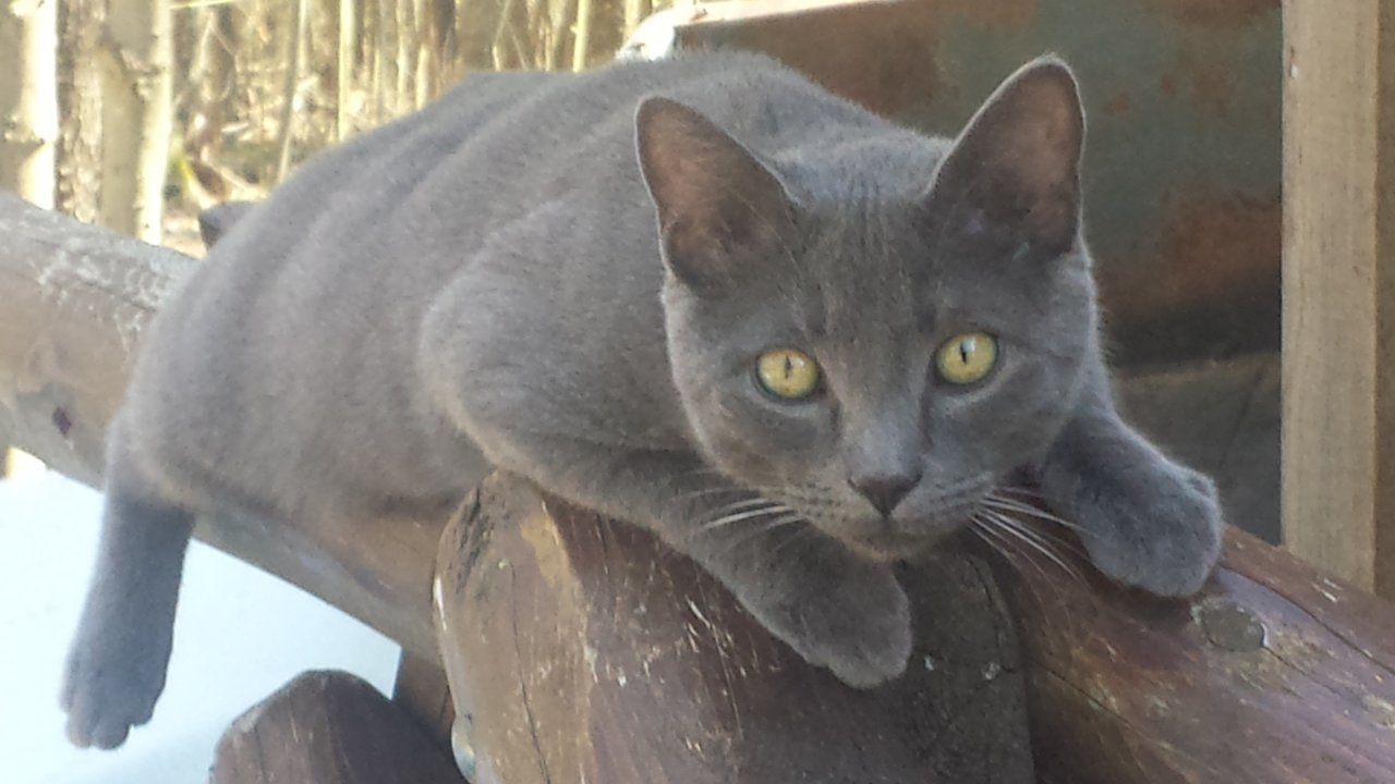 20180422_154103.jpg