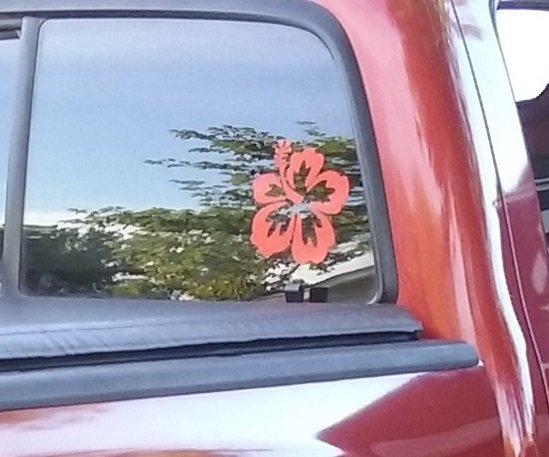 20180422_191751_Close.jpg