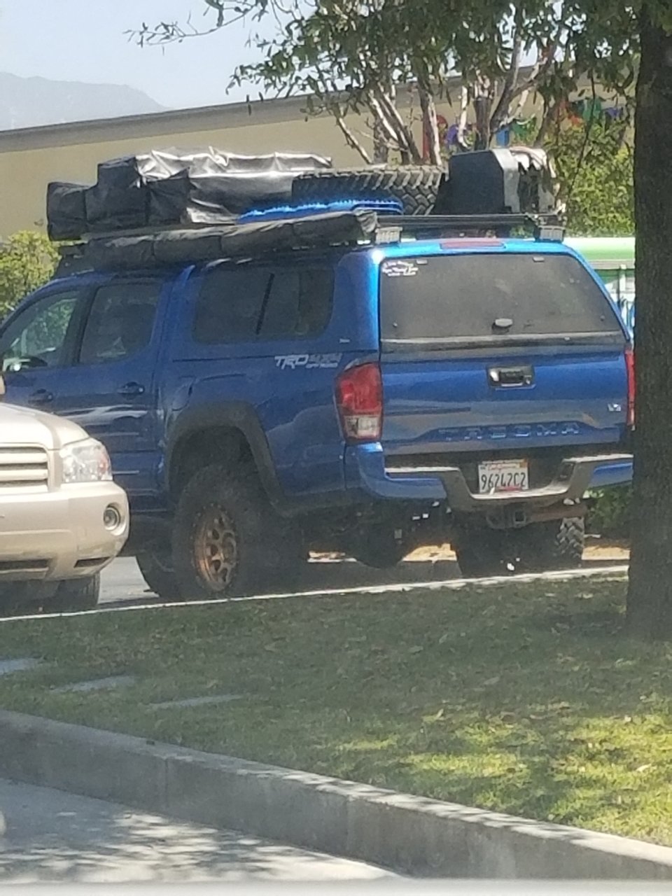 20180423_114209.jpg