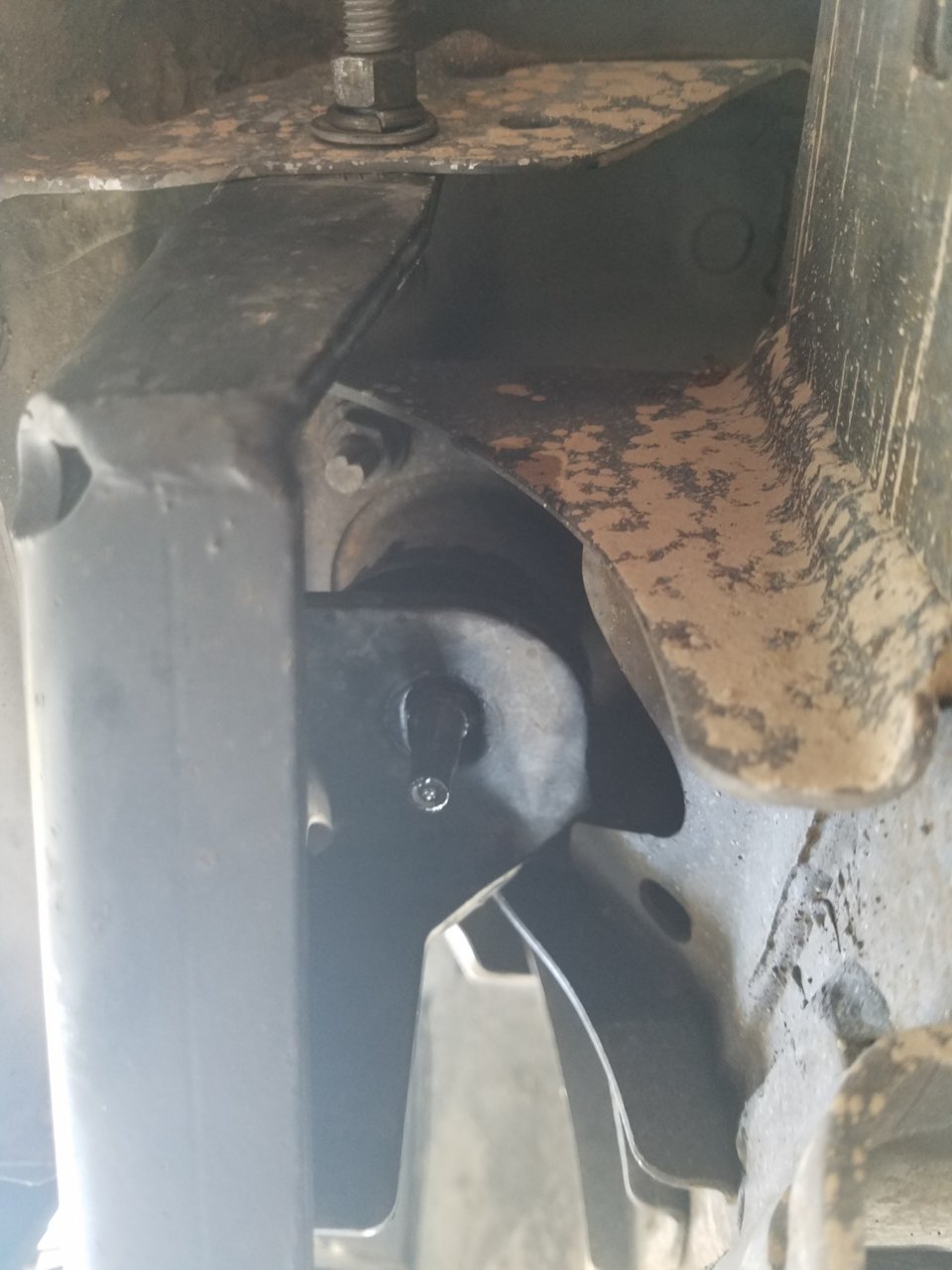 20180423_123628.jpg