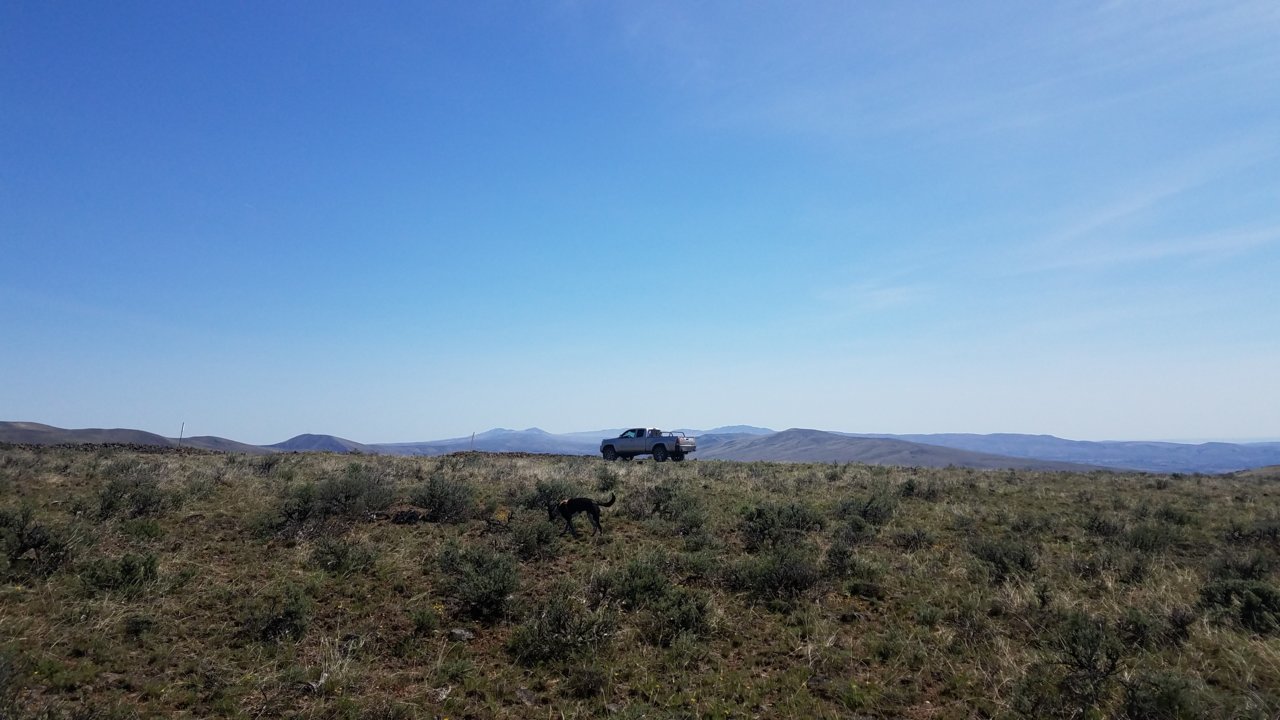 20180423_131240.jpg