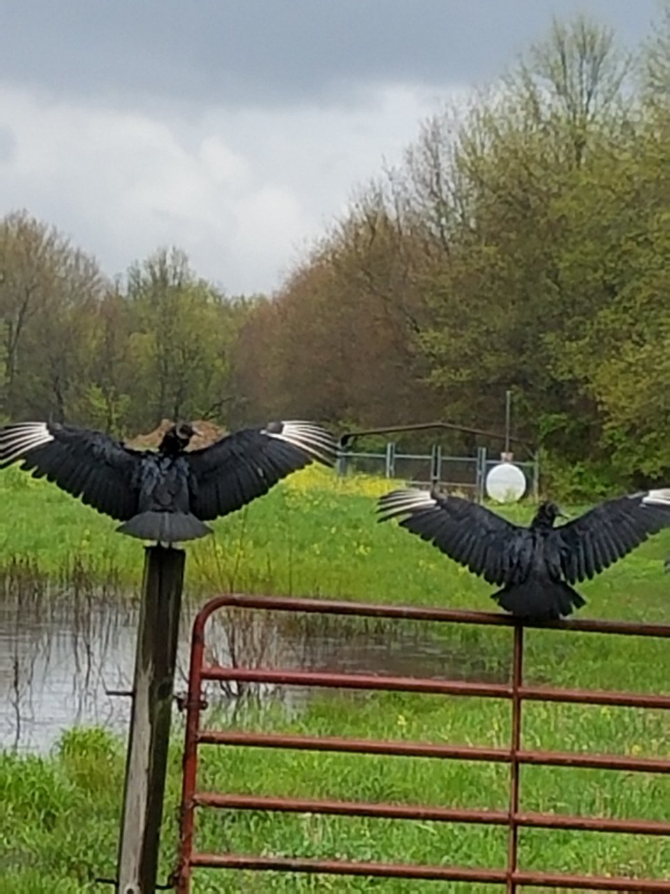 20180423_132709.jpg