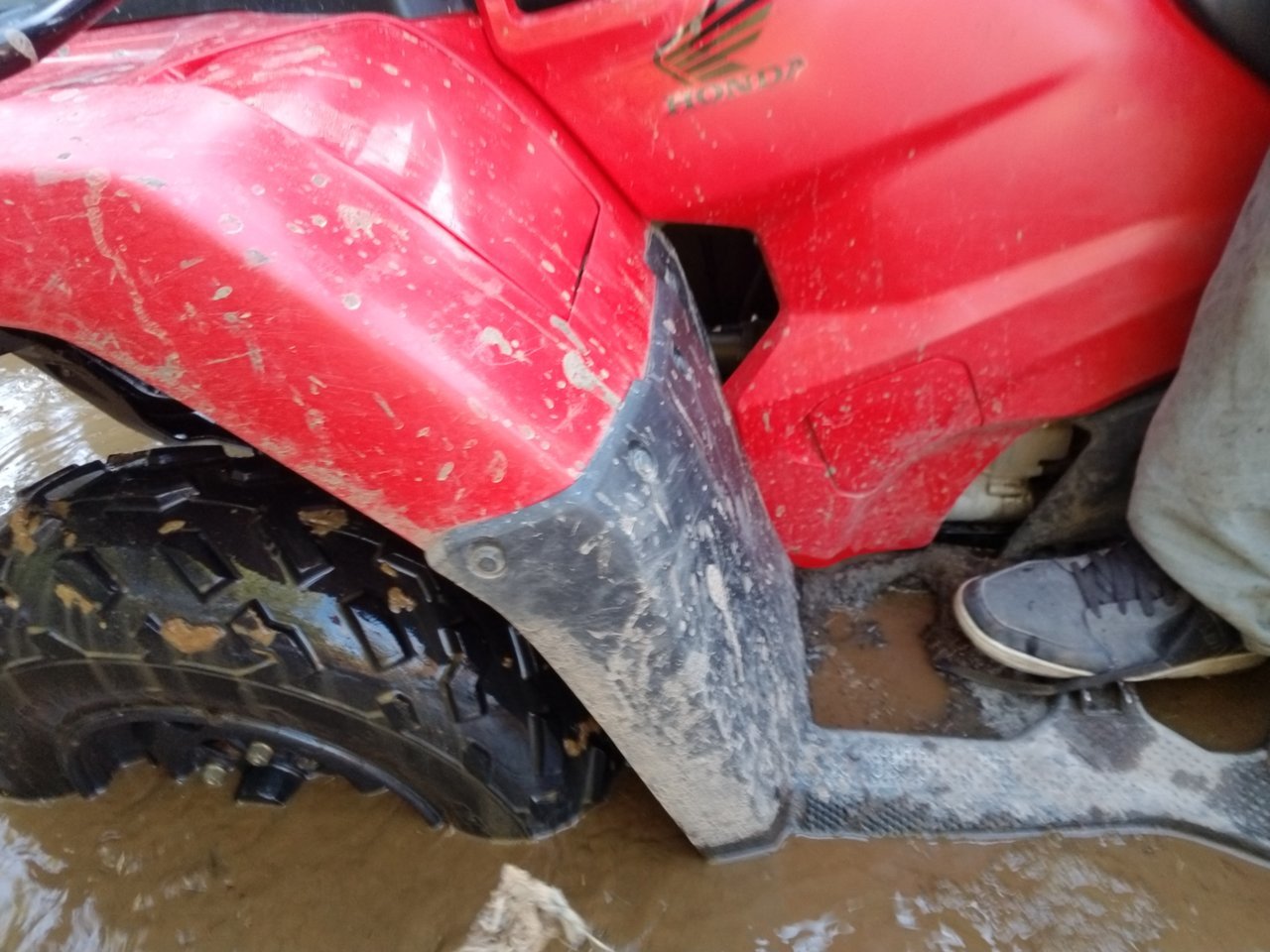 20180423_172730.jpg