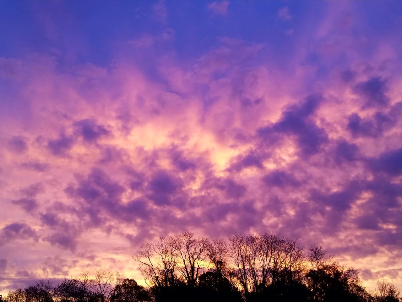20180424_061354.jpg