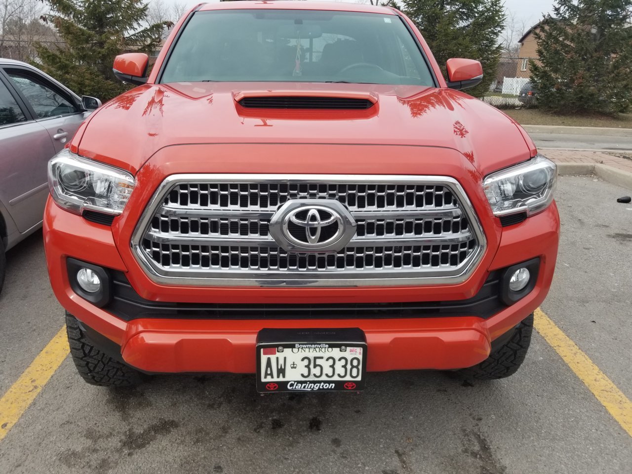 20180424_104143.jpg