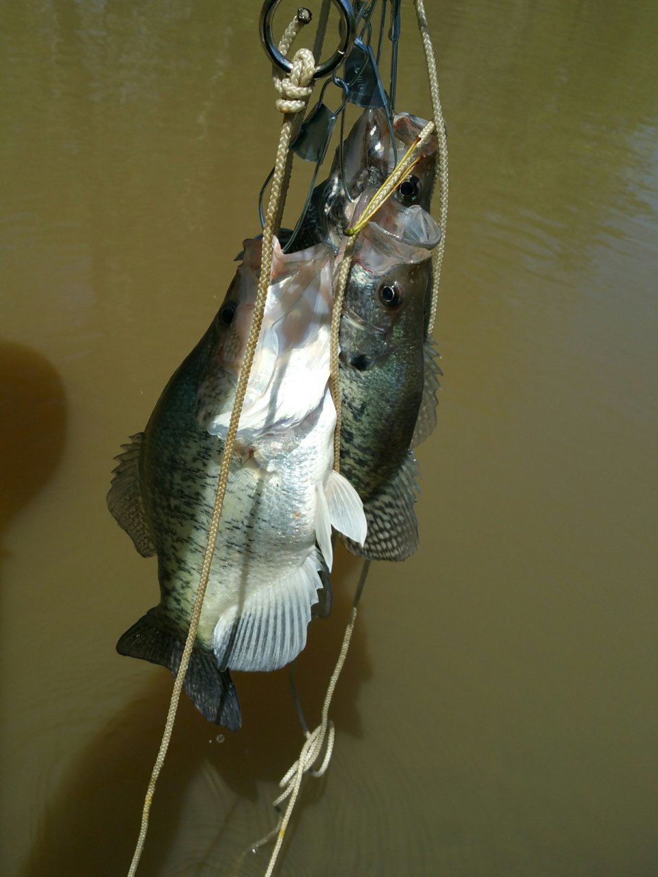 20180424_122455.jpg