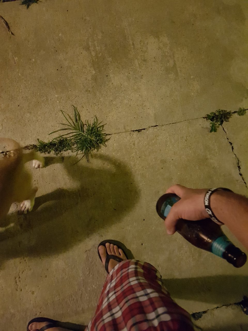20180424_191832.jpg
