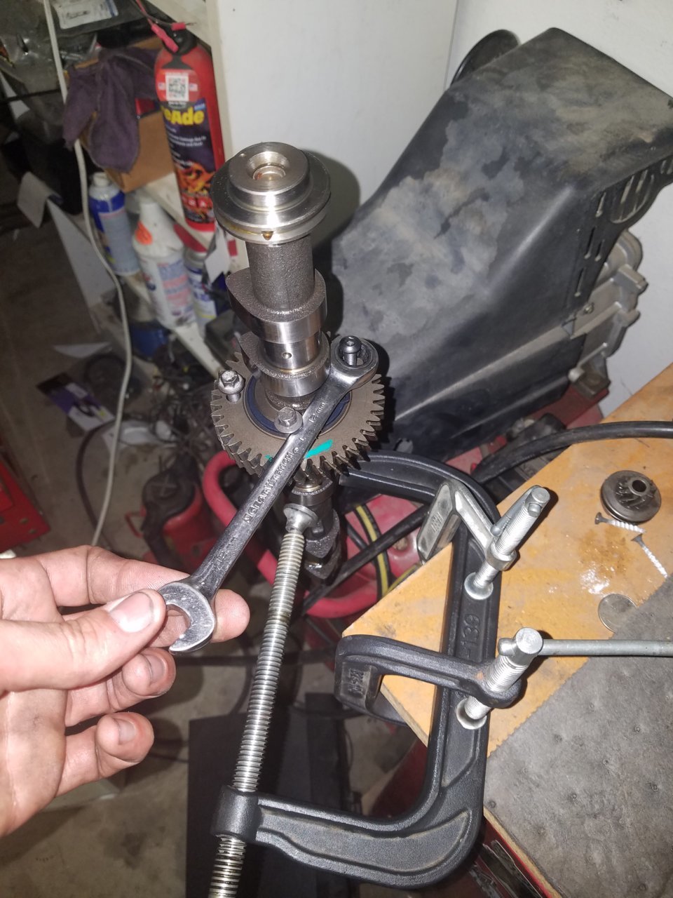 20180424_203821.jpg