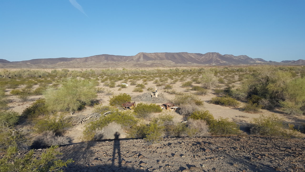20180425_071556.jpg