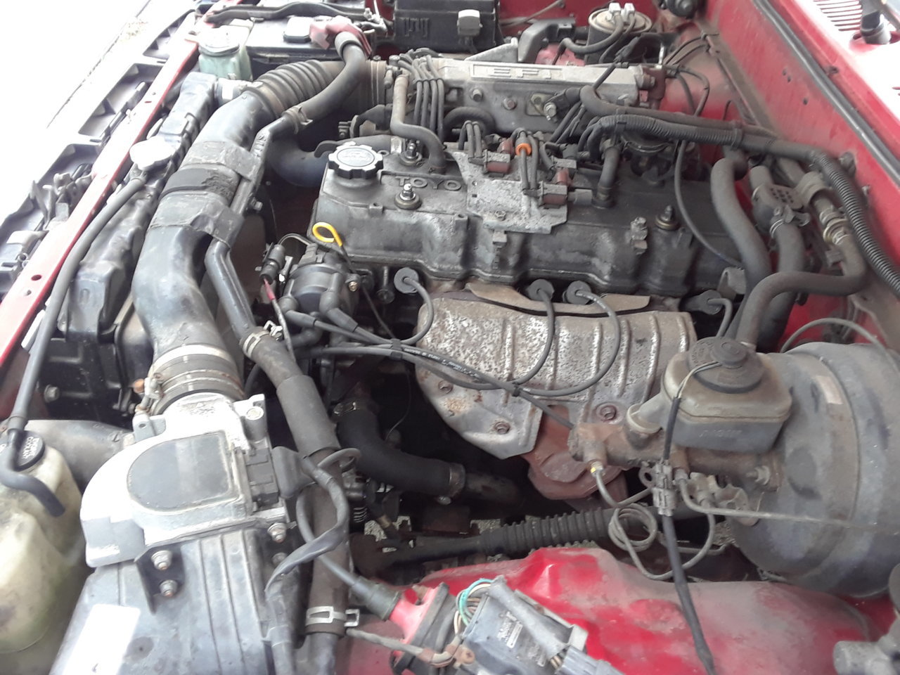 20180425_075326.jpg