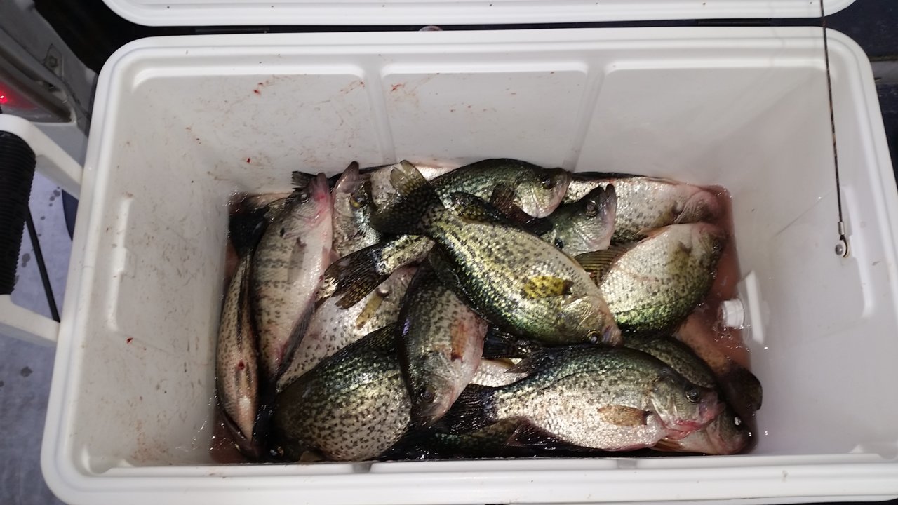 20180425_173959.jpg