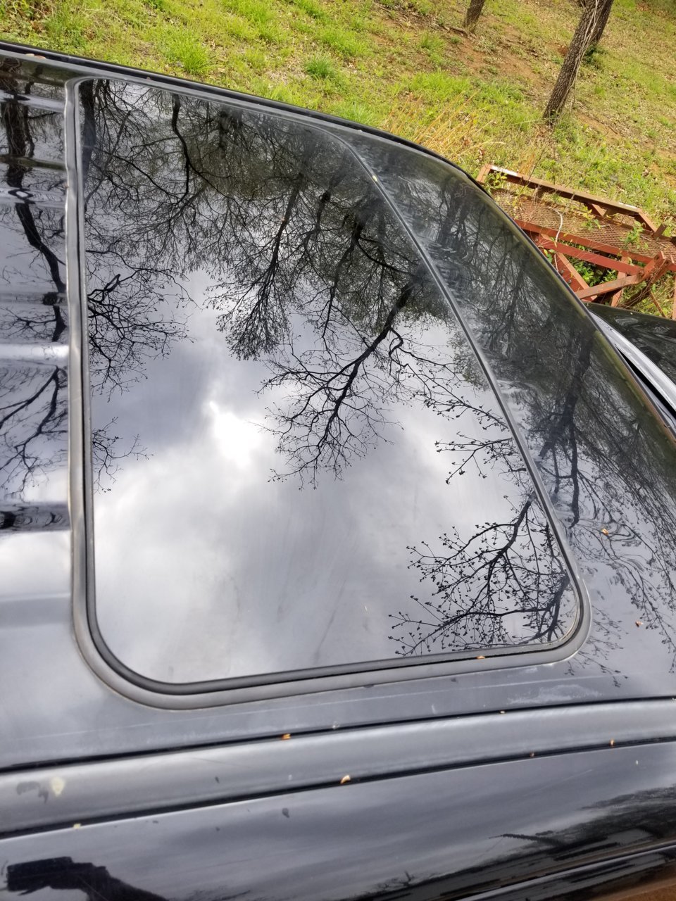 20180426_102839.jpg