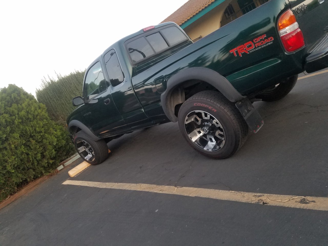 20180426_194218.jpg