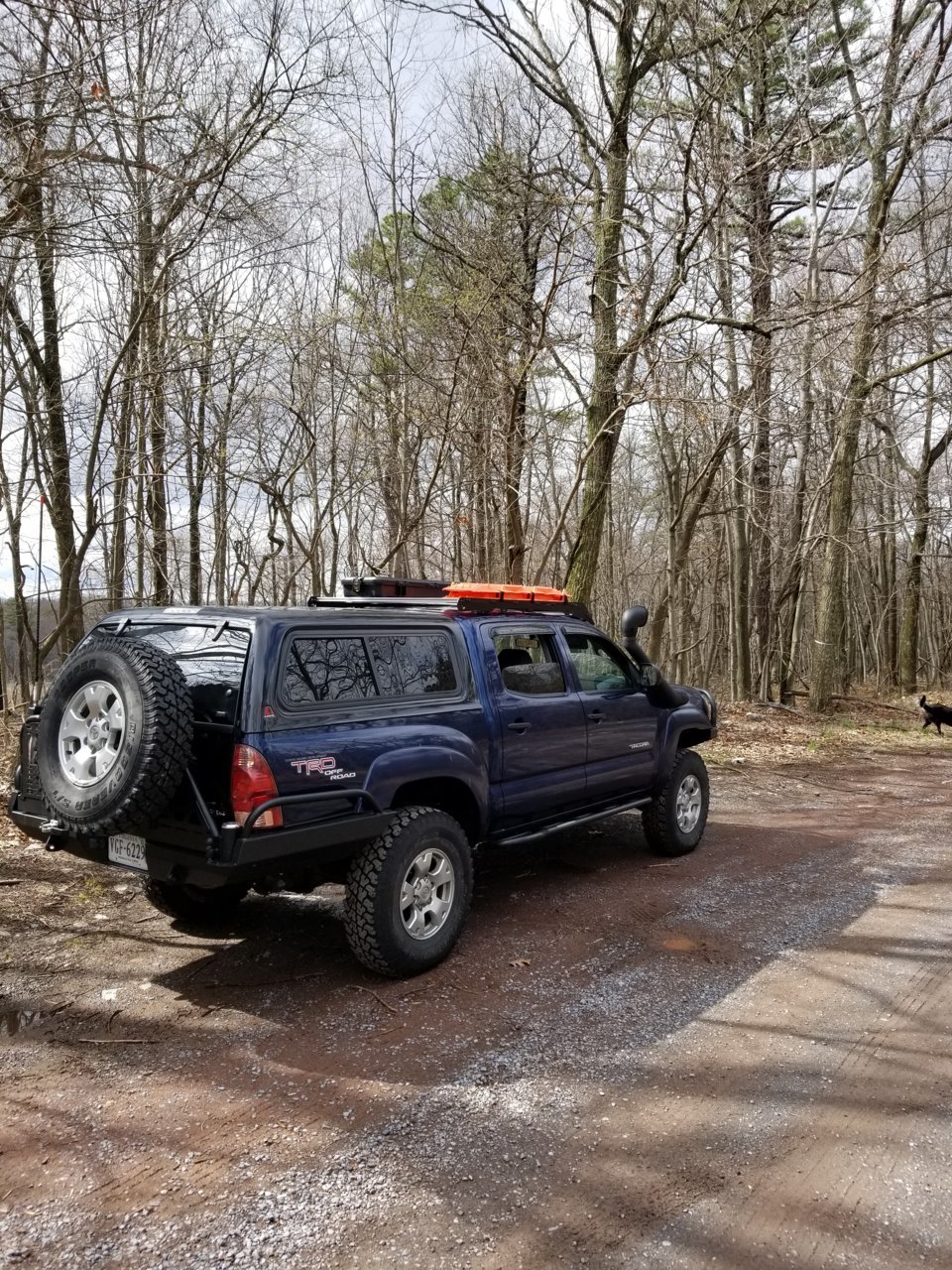 20180427_154904.jpg