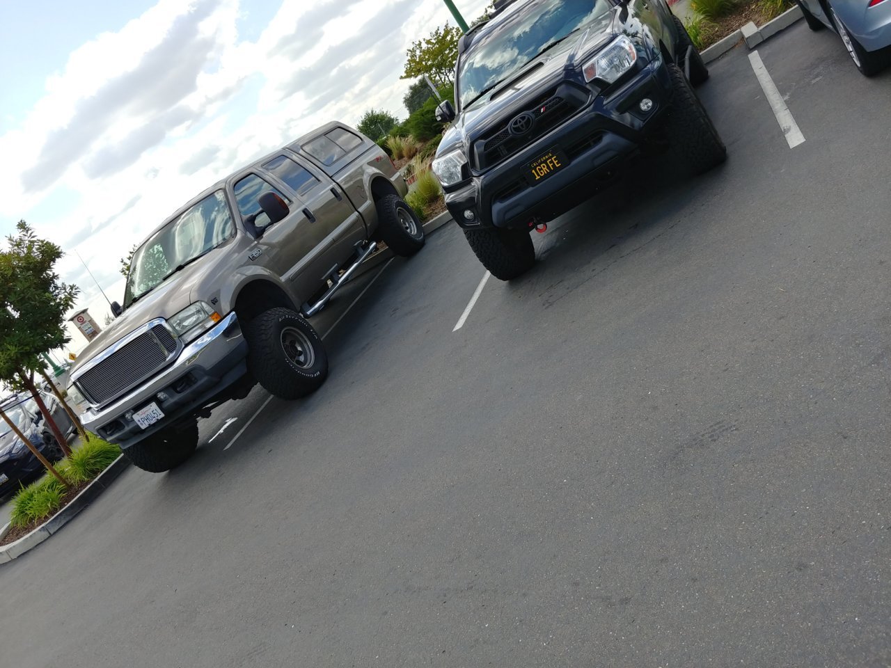 20180427_155434_HDR.jpg