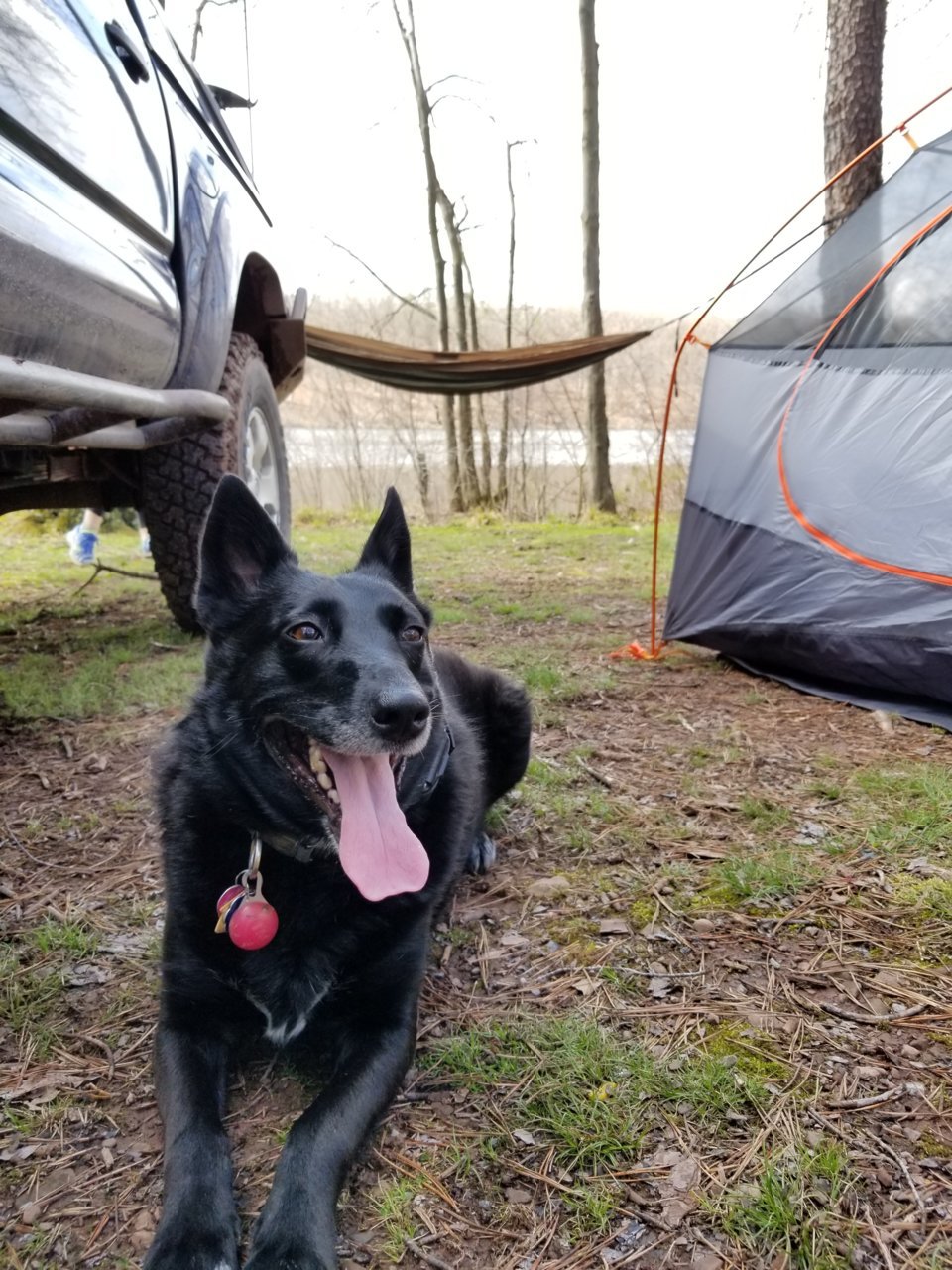20180427_162637.jpg