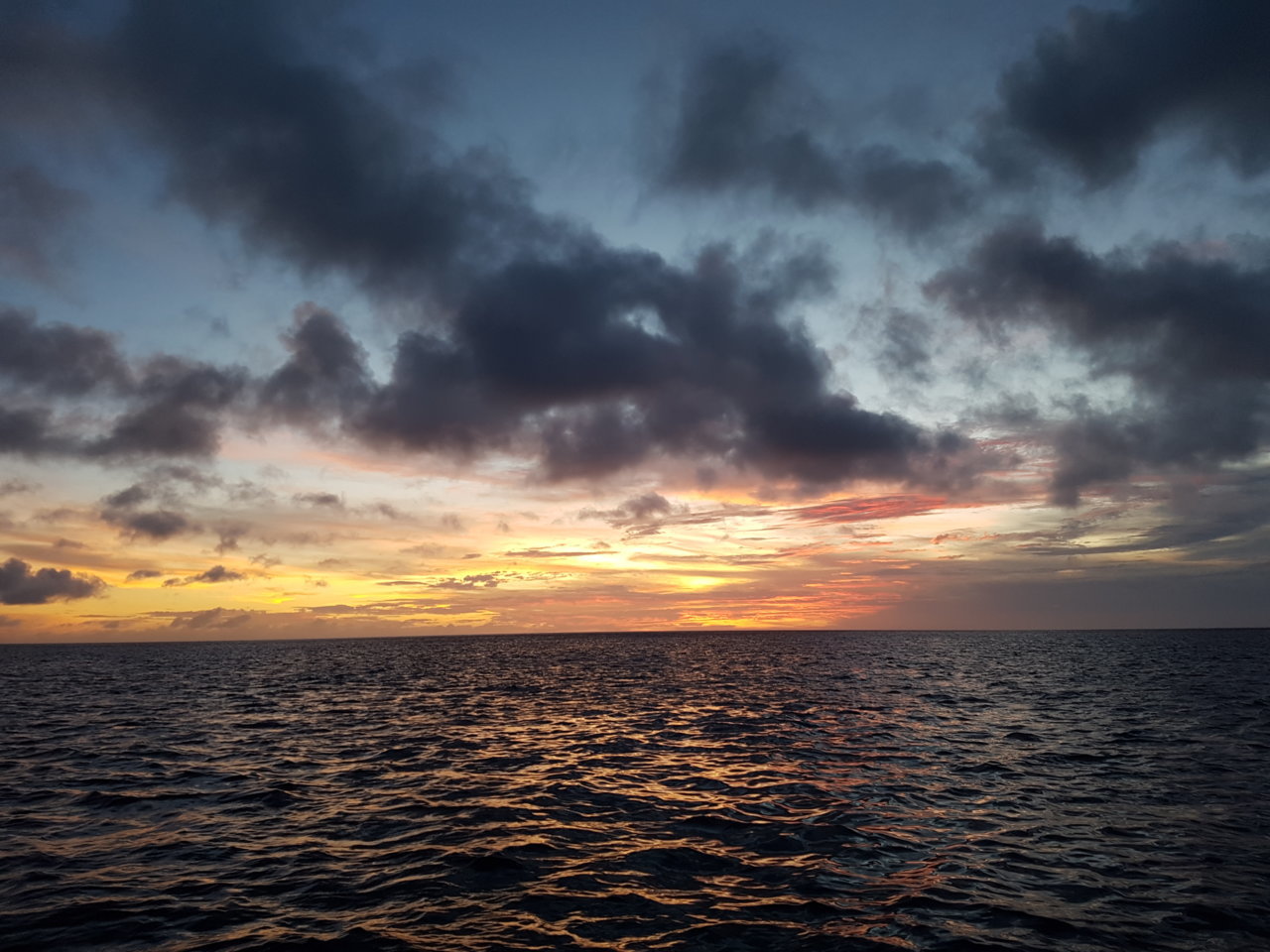20180427_184742.jpg