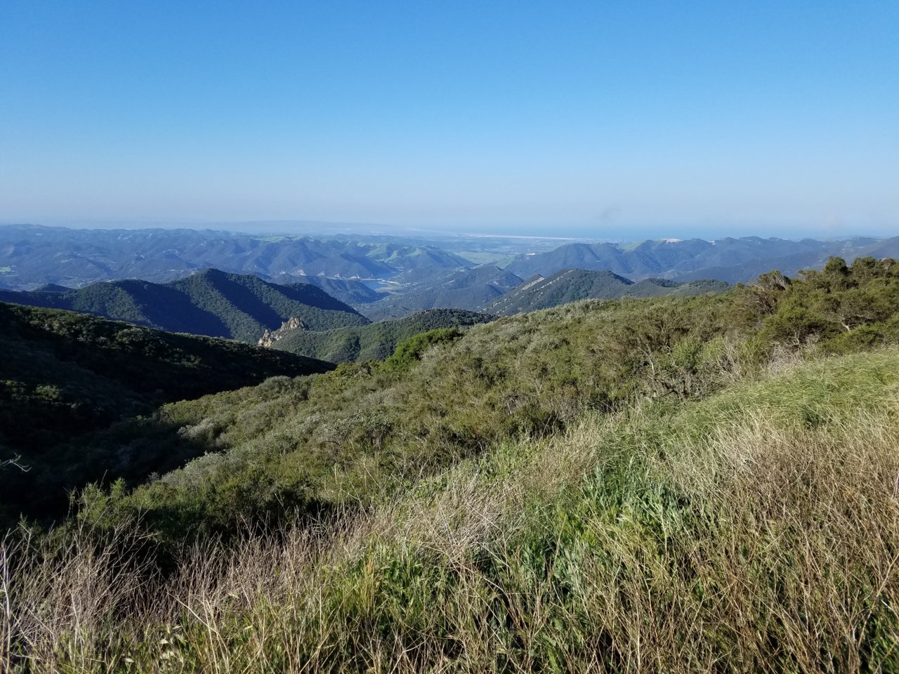 20180428_080246.jpg