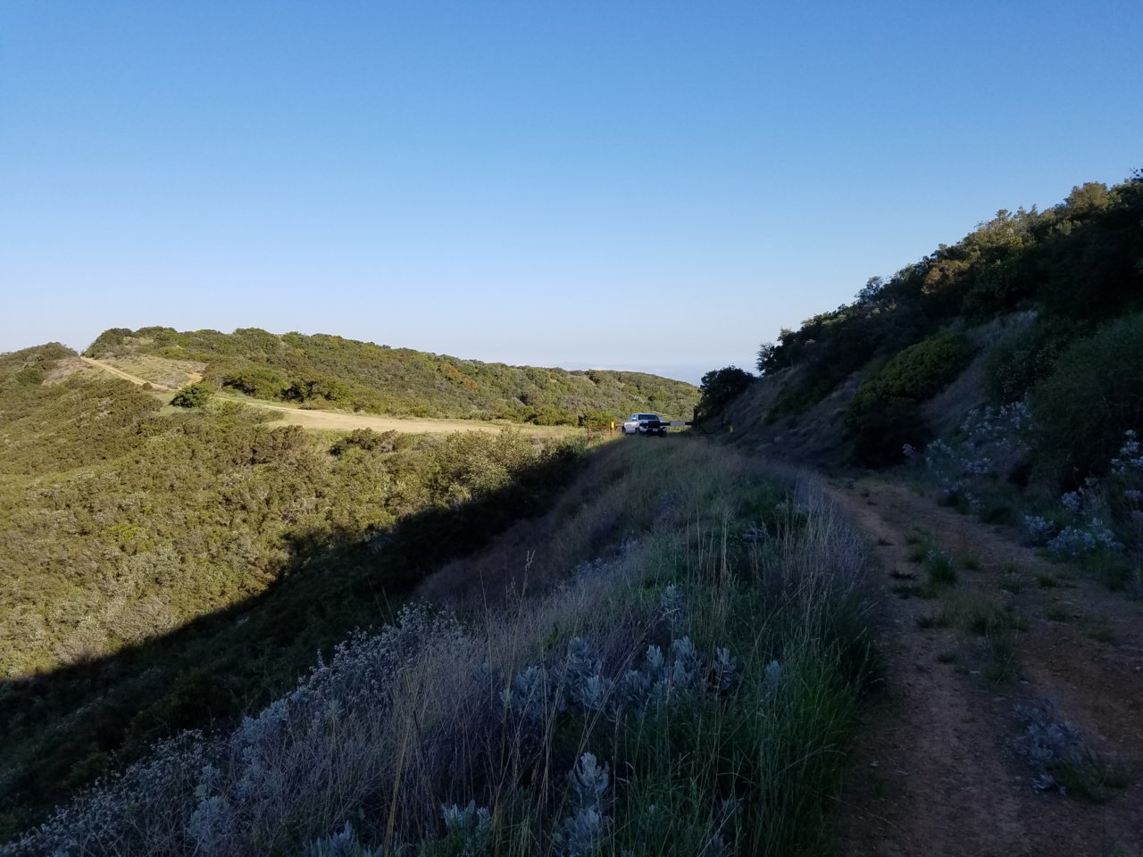 20180428_080618.jpg