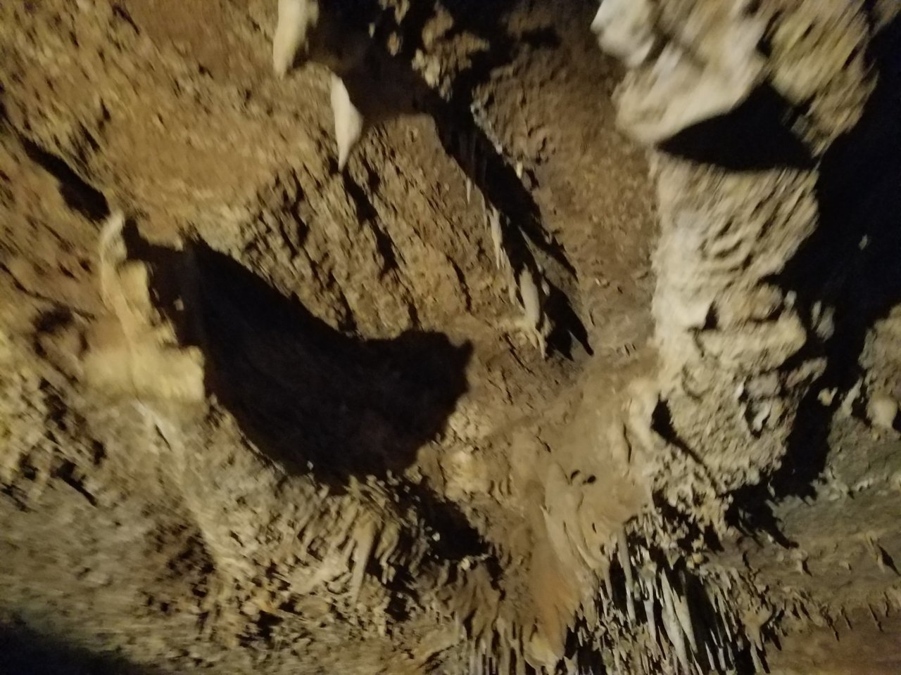 20180428_125729.jpg