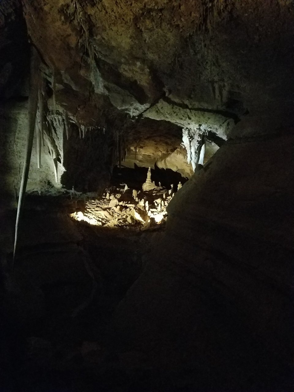 20180428_125753.jpg