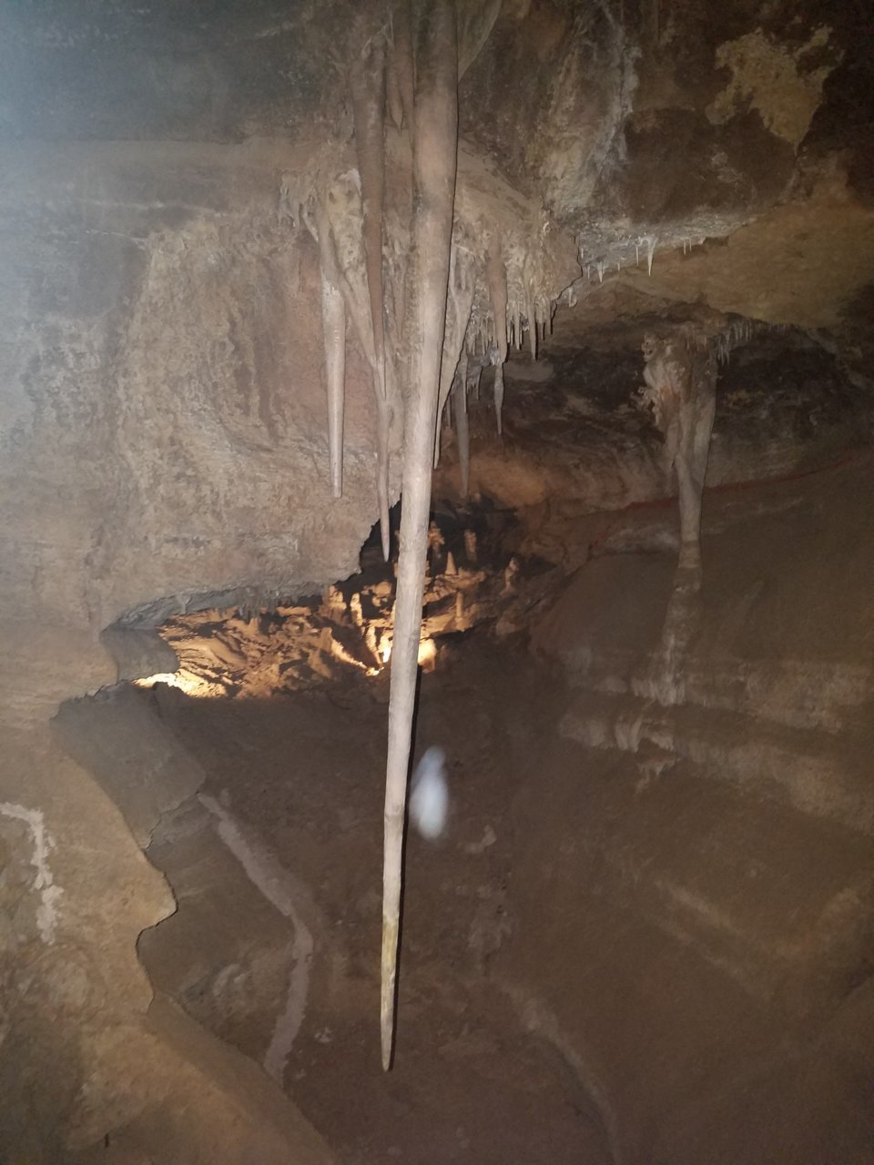 20180428_130106.jpg