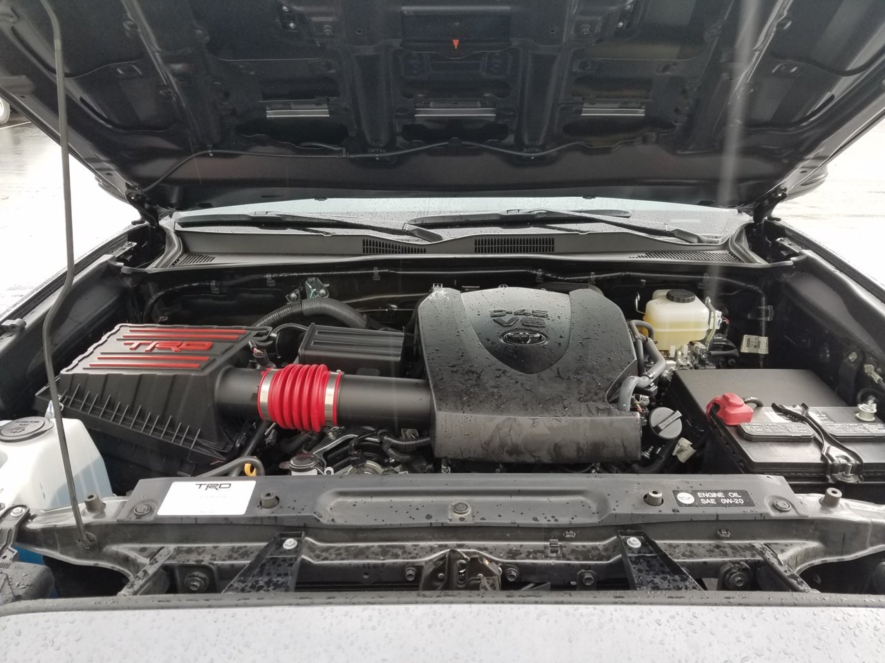 20180428_153249.jpg