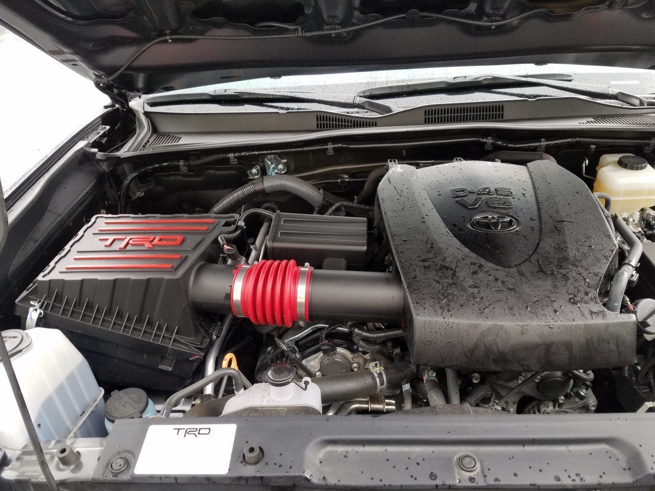 20180428_153252.jpg