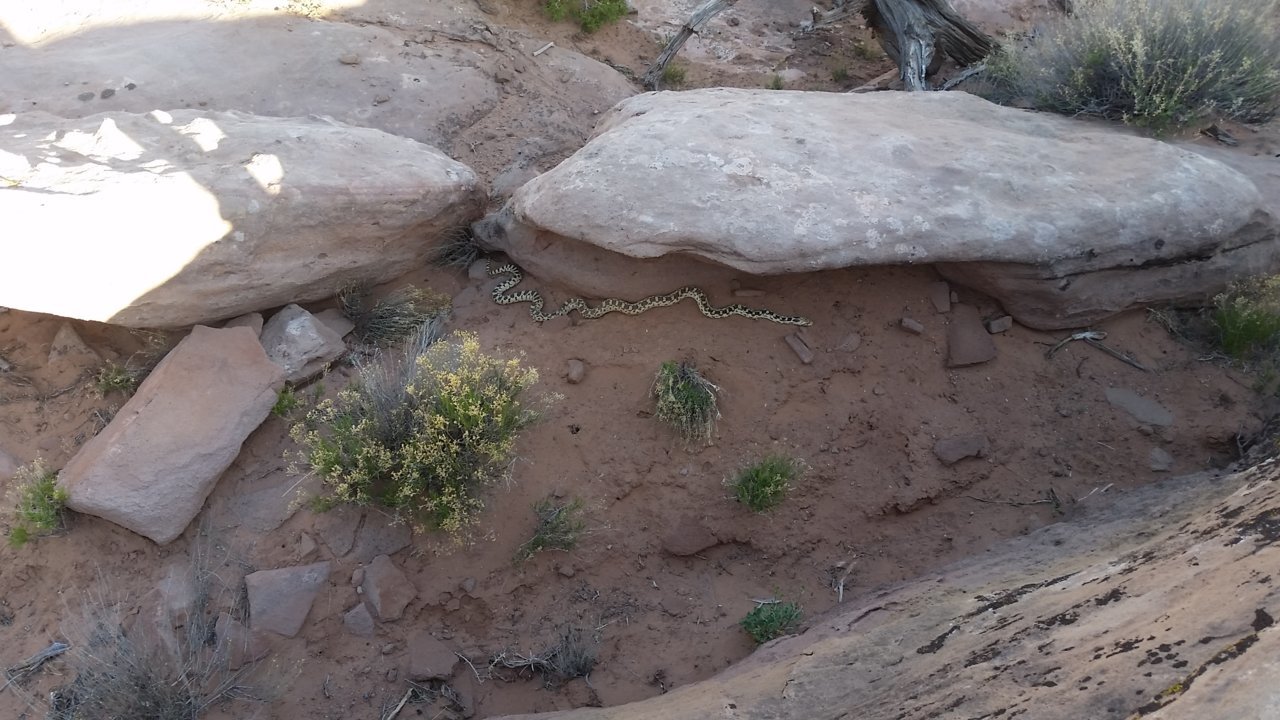 20180428_181728.jpg