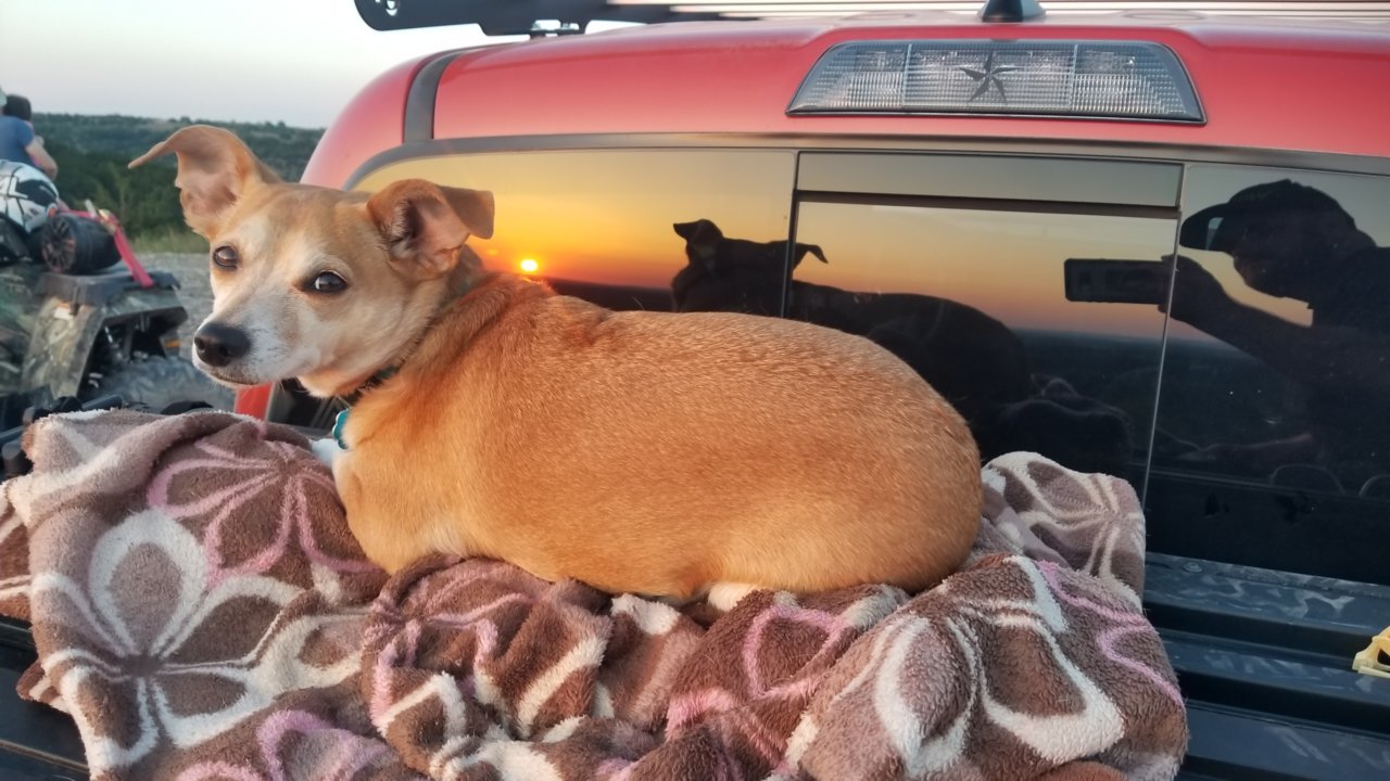 20180428_200317.jpg