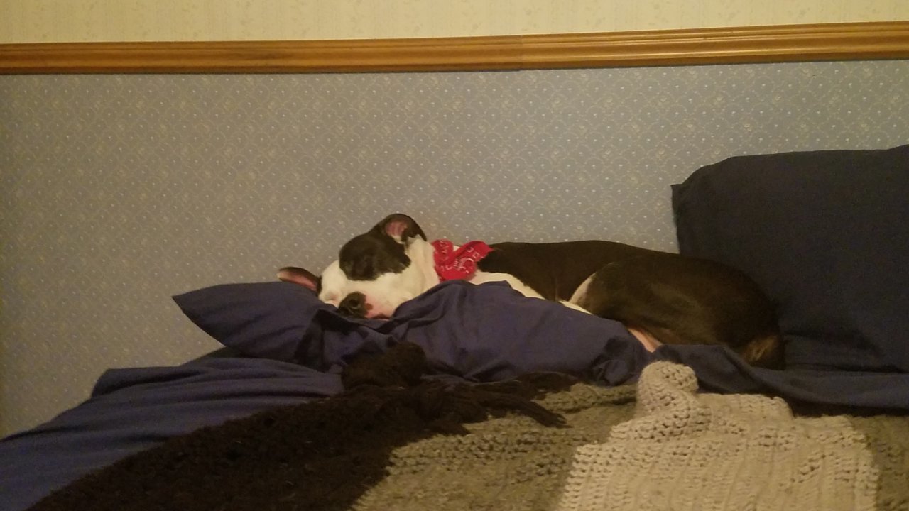 20180428_223607.jpg