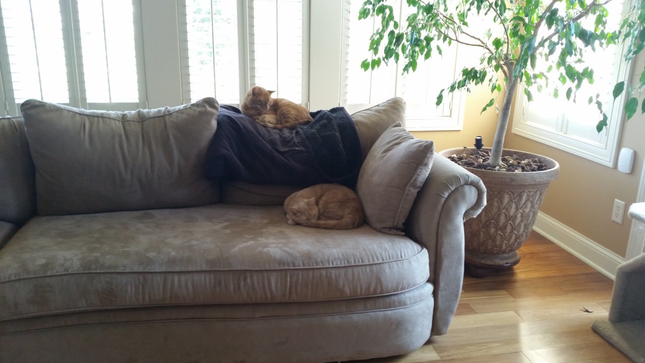 20180429_101434.jpg