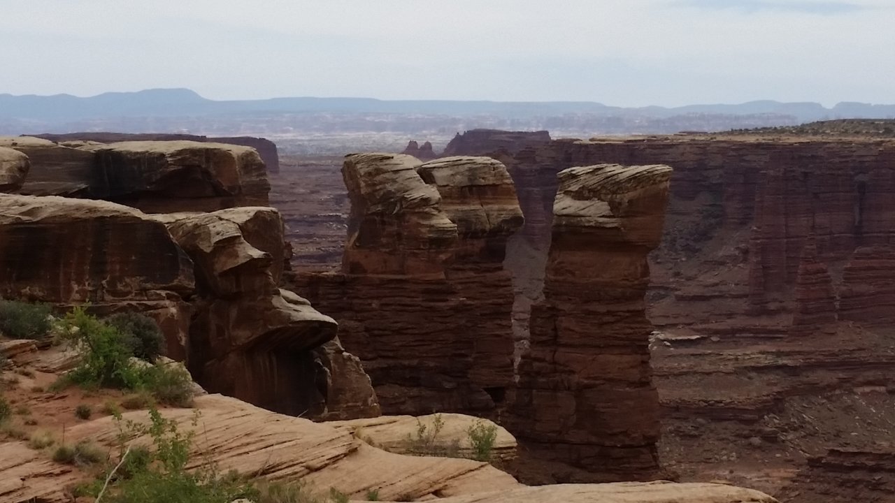 20180429_143131.jpg