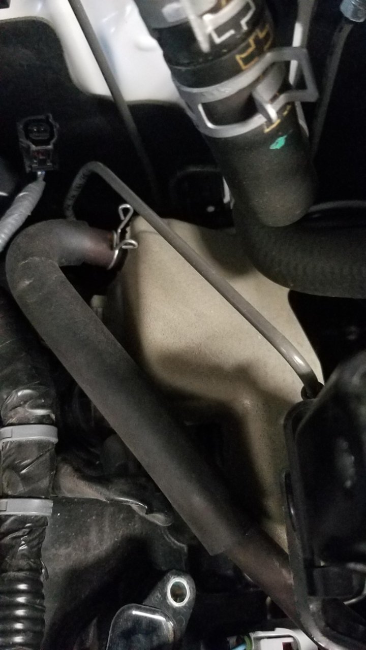 20180429_143824.jpg